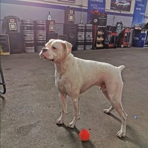 Meet your Posher, Charlene